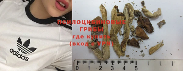 гашик Абдулино