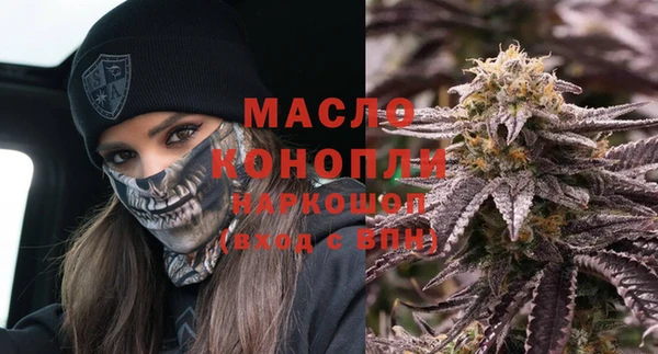 тгк Абаза
